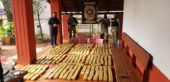 Canindeyú: Confiscan más de una tonelada de droga durante un operativo
